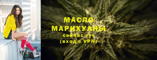 тгк Абаза