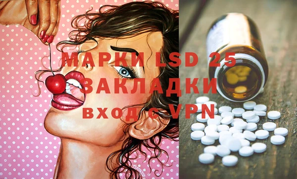 гашик Аркадак