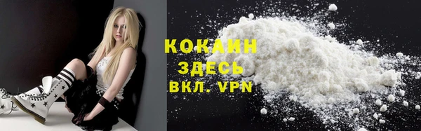 гашик Аркадак