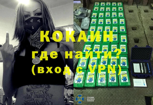 гашик Аркадак