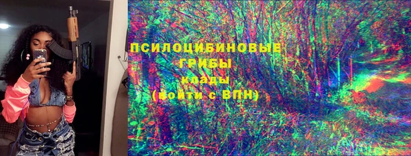 гашик Аркадак